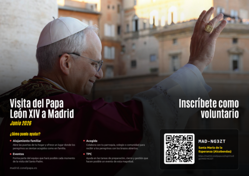 Cartel Voluntarios con el Papa
